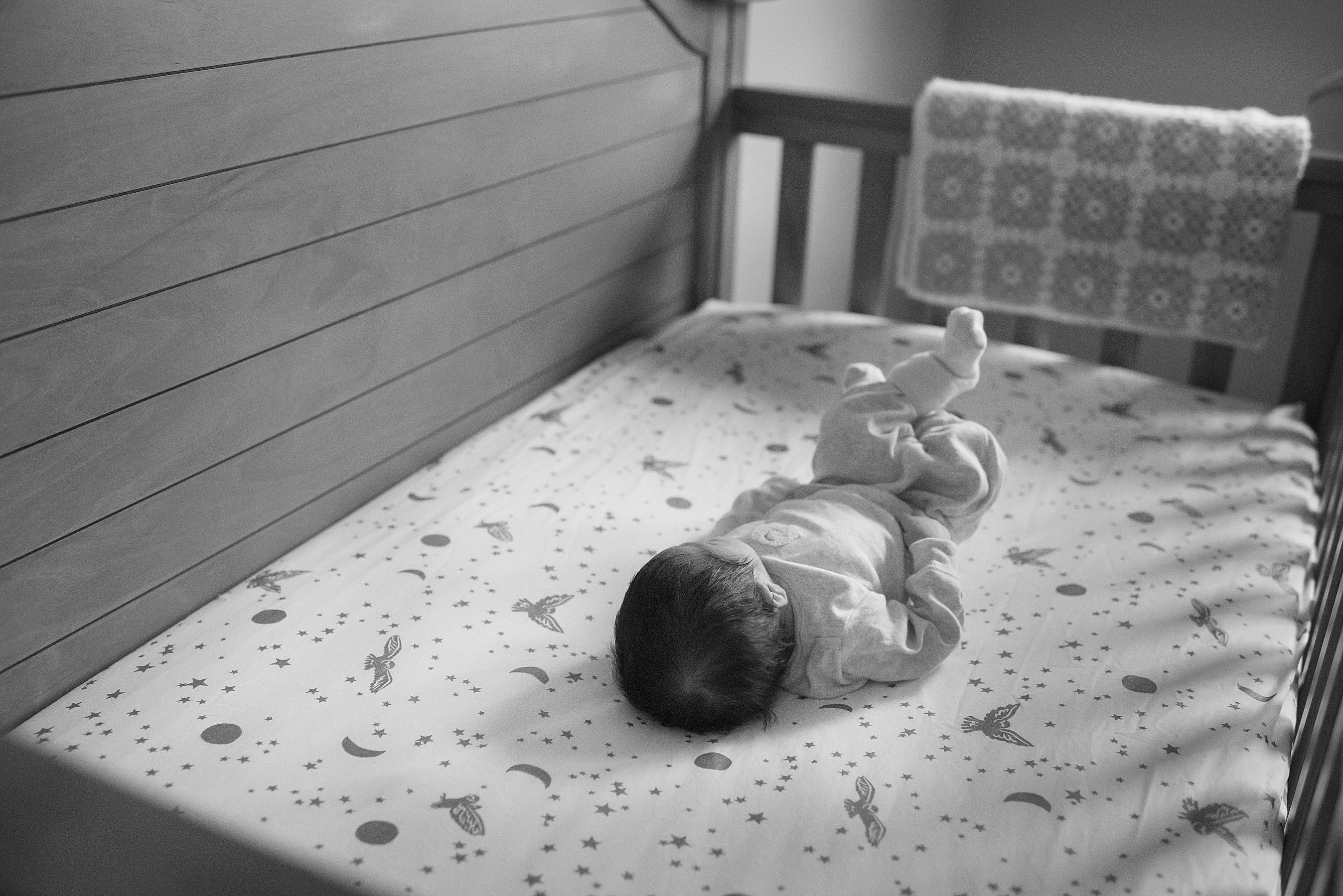 Oak Park Newborn Photographer